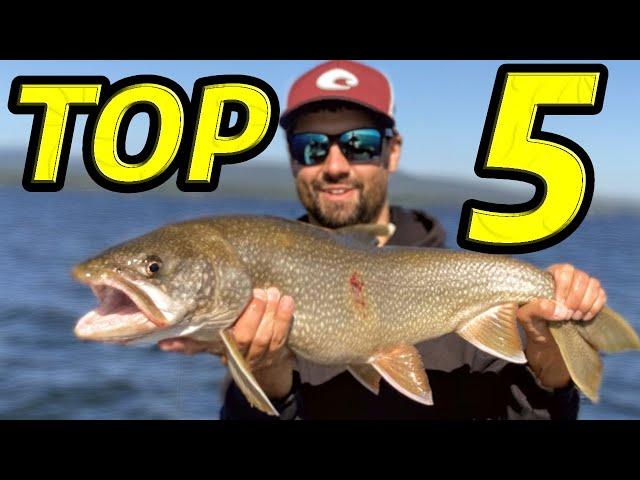 MUST HAVE Baits for Lake Trout & How to Fish them!