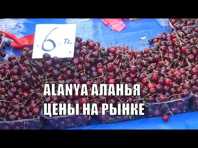 ALANYA Цены на рынке Гигантская дешевая черешня Аланья