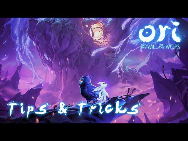 Starter tips you should know - Ori and the Will of the Wisps