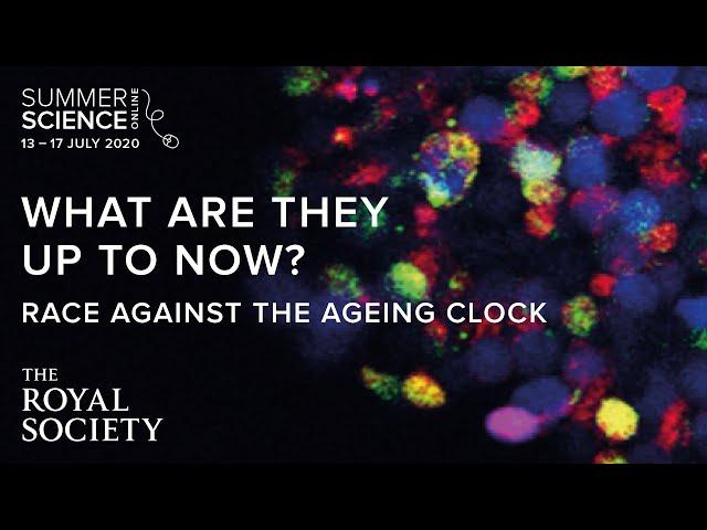 What are they up to now? Race against the ageing clock | The Royal Society