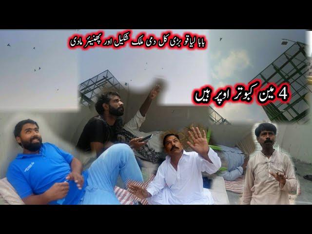 umar Khokhar Pigeon Club Ki Kabutar Bazi Ki Update | Pola G Pigeon Club