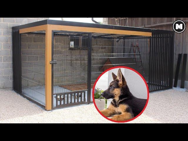 I am Building a Modern Dog Kennel