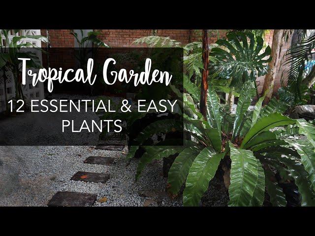 Top 12 Must-Have (& Easy!) Plants for a lush Tropical Garden