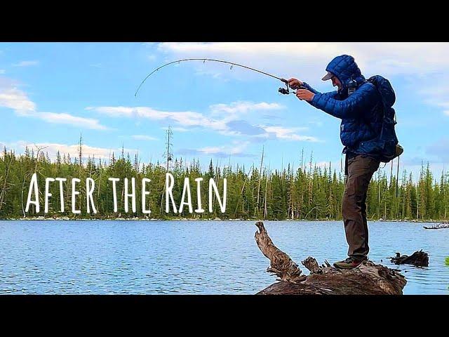 Solo Wilderness Trout Fishing Adventure (Backcountry Fishing Big Trout)