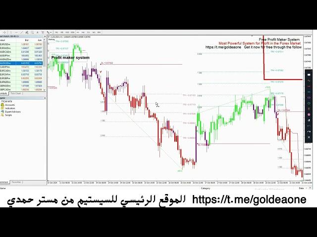 4 - كيف تحقق اكتر من 10000 دولار في اقل من 3 ايام  بسيستيم صانع الارباح مقدم مجانا من مستر حمدي