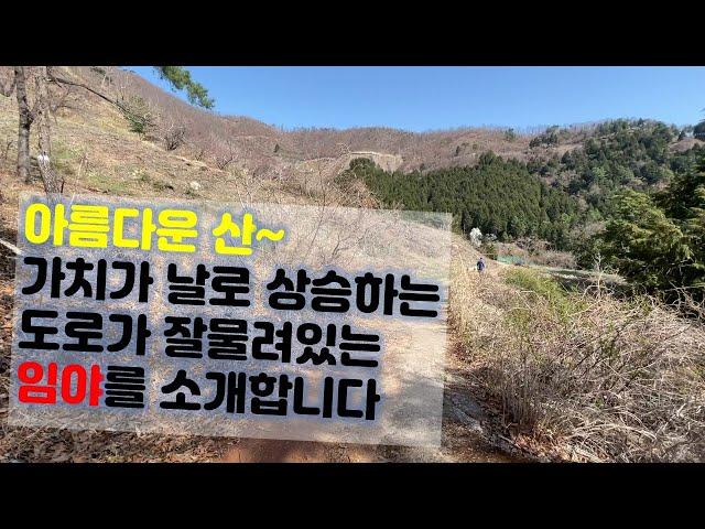 [김해땅매매]경남김해시 상동면 임야토지땅매매,도로가 잘물려있는,쓰임새좋고 다양하게활용하며 대박날수있는 임야매매.(매물번호A-014)오름부동산TV