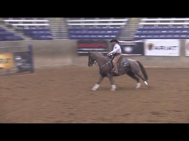 2023 AQHA Cowboy Mounted Shooting Open World Champion