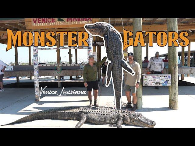 MONSTER Gator Hunting in Venice, Louisiana! | Southern Adventures | Ultimate Outfitters Ep. 2