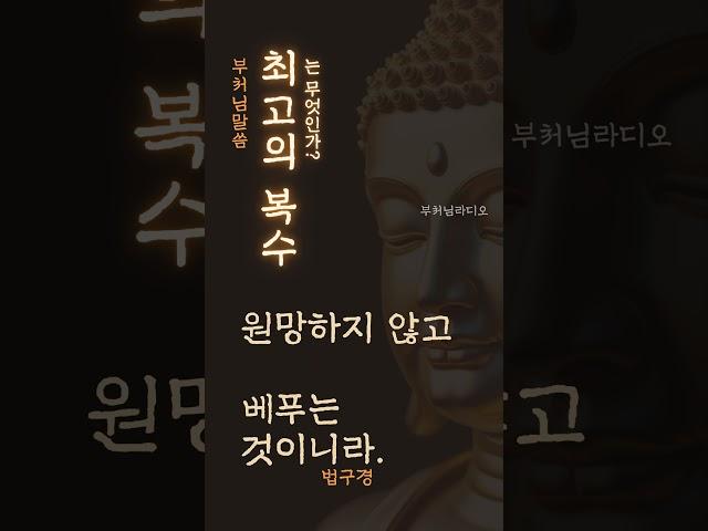 최고의 복수란 무엇인가? | 부처님말씀 | 석가모니명언 | 인생지혜 | 명상의말씀
