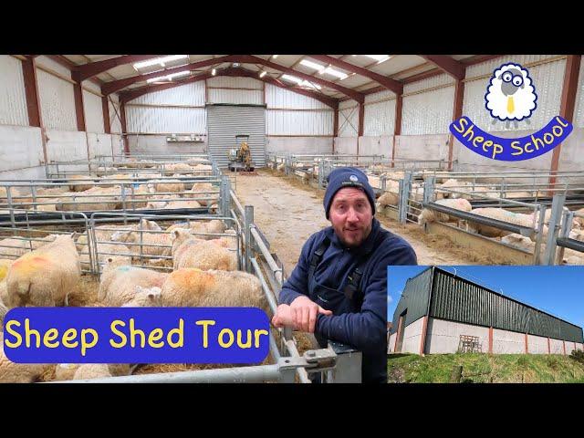 Sheep Shed Layout And Design. Lambing Time Approaches...