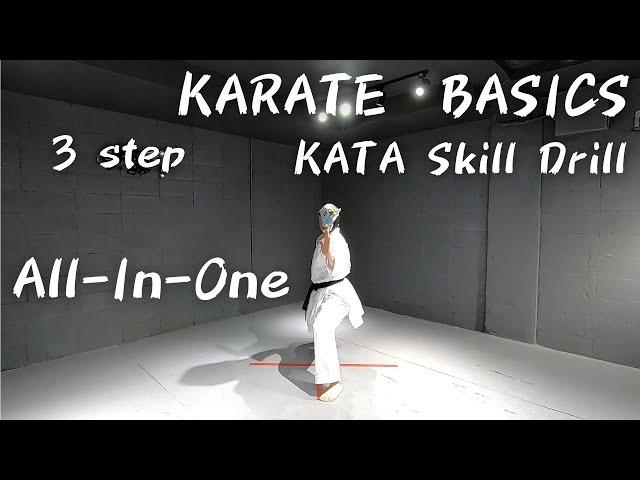 A condensed practice of karate basics|your kata skills will improve