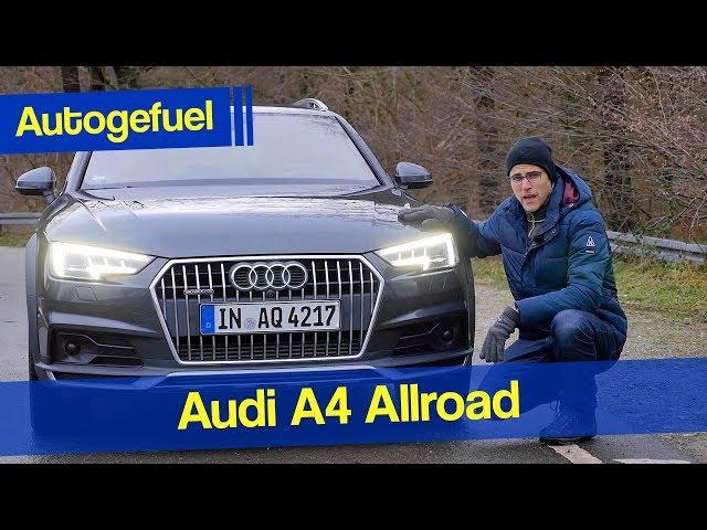 Audi A4 Allroad REVIEW - Autogefuel