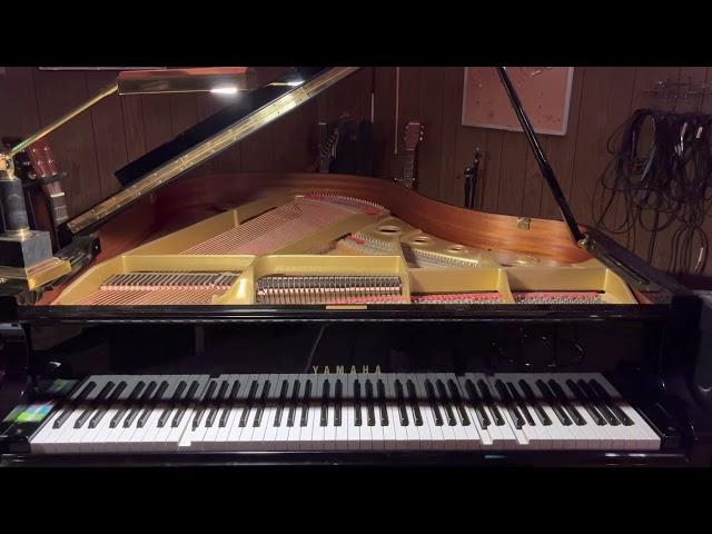 Misery Fell by Tally Hall | Player Piano Arrangement