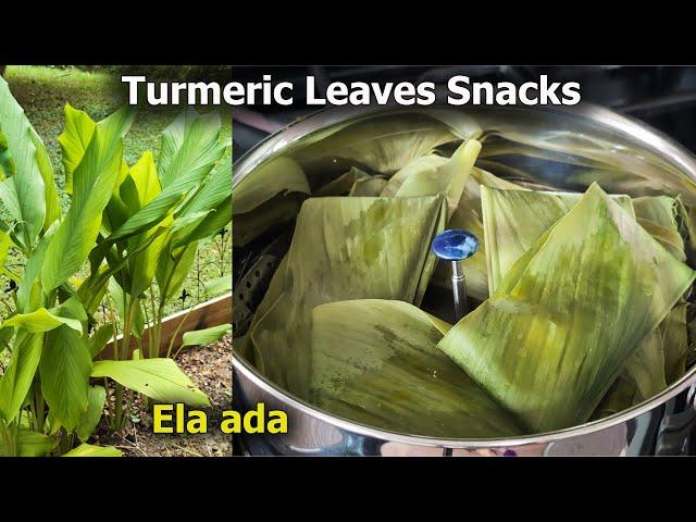 Turmeric Leaf Magic: The Breakfast You've Never Tried! Ela ada Recipe!