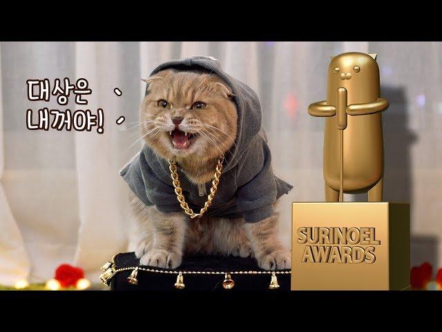 Meaninglessly High Quality Cat Award - 2017 SuriNoel Awards + Surprising Performance!