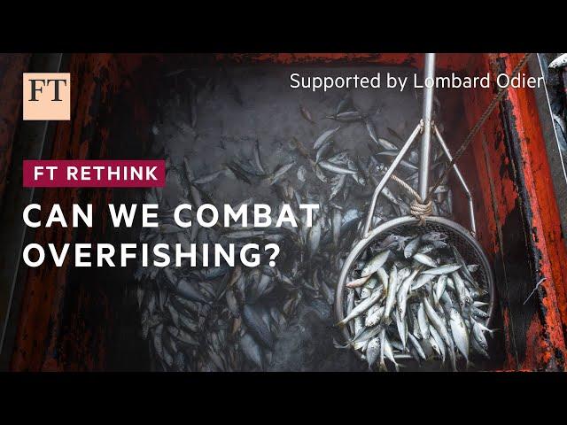 Is it possible to sustainably satisfy the world's hunger for fish? | FT Rethink