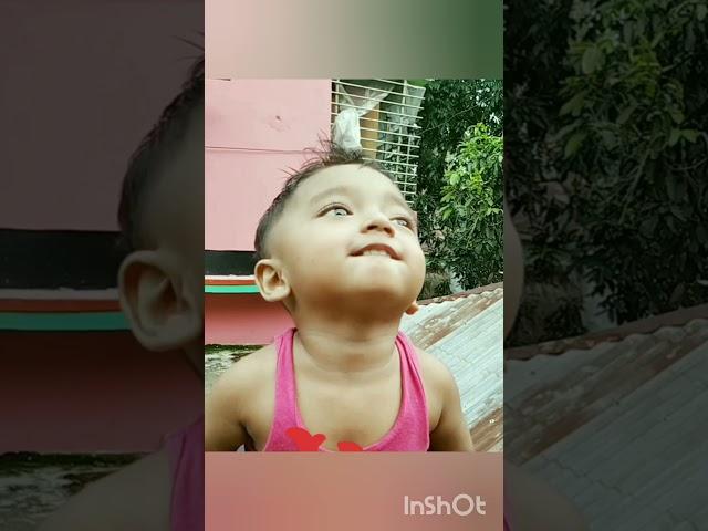 Cute baby tik tok funny video puri puri song