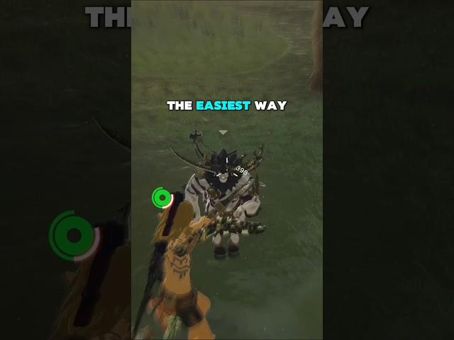 The EASIEST Way to Take Down Lynels in Tears of the Kingdom!  #zelda #totk #totktips #lynel