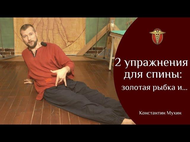 2 упражнения для спины: золотая рыбка и... | Константин Мухин