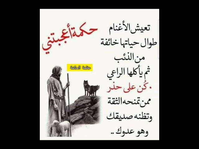 حكم واقوال عن الحياة #حكم #حكمة_اعجبتني #حكمة_اليوم #حكمة_رائعة #اقوال_الجوكر #shortvideo