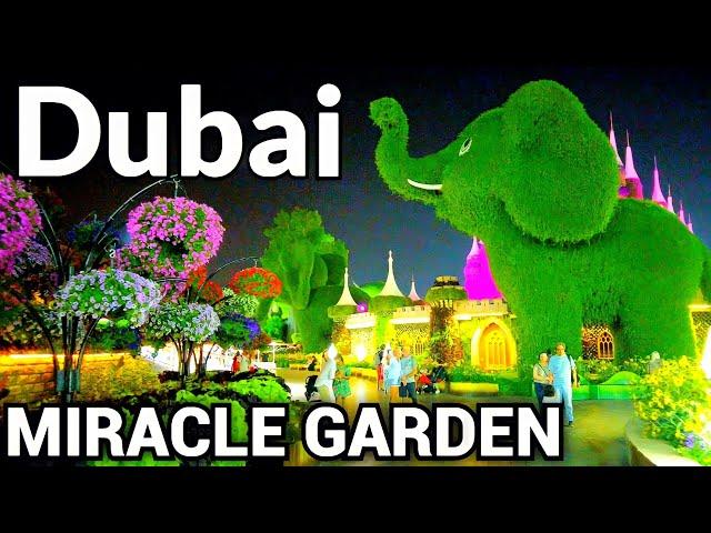 Dubai  Miracle Garden |4K| Beautiful Night Walking Tour [2023-2024]