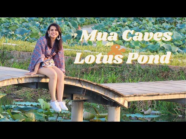 Exploring the Hidden Paradise: Ecolodge at Mua Caves & Lotus Ponds Adventure