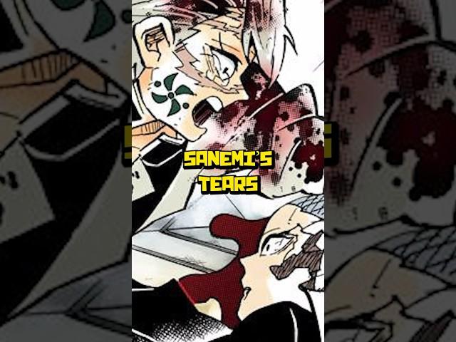 Genya Dies to Save Sanemi vs Upper Moon 1 Kokushibou | Demon Slayer Shinazugawa Brothers Explained