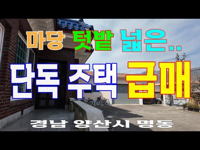 203 마당.텃밭 넓은 단독주택 급매 ...경남 양산시 명동 단독주택2채..대지190평 ...한마당 3가족 거주 가능