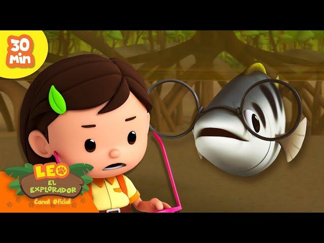 ¿EL PEZ MÁS INTELIGENTE QUE EXISTE?! ️ | ¡Animales del Pantano! | Leo, El Explorador | Animación