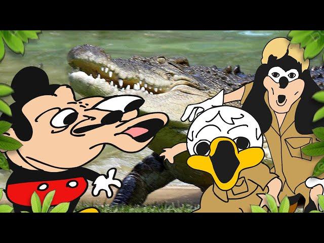 Mokey's show - 427 - Crocodile