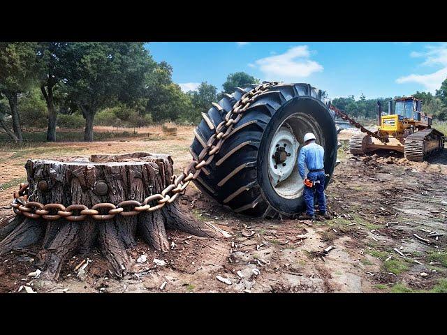 Dangerous Powerful Stump Removal Excavator Working, Incredible Wood Chipper Machines in Action