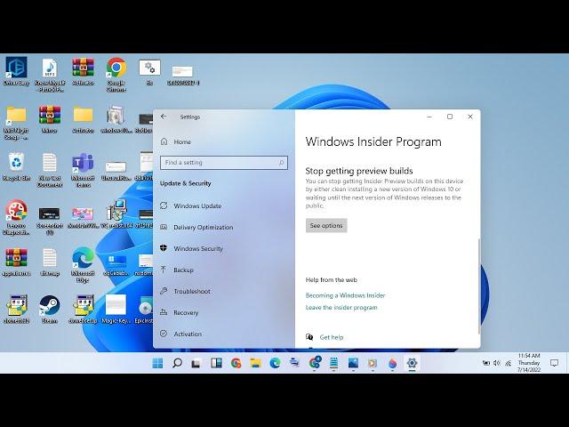 How to fix New update Windows 11 Insider Preview 10.0.22622.290  download failed