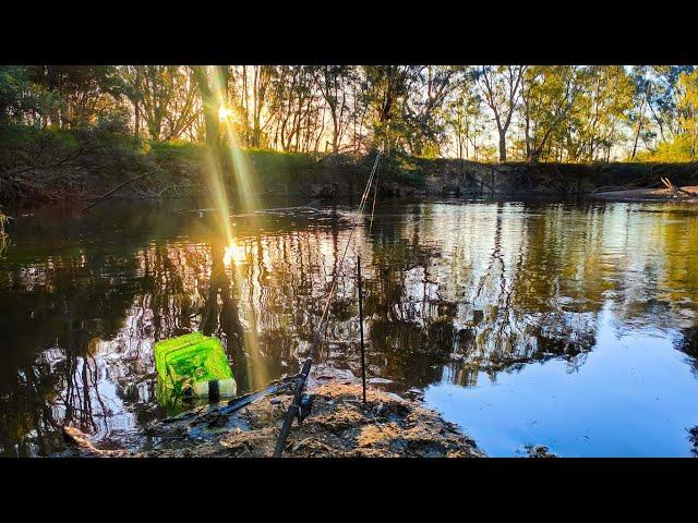 Bait Fishing In The Ovens River With Awesome Underwater Footage