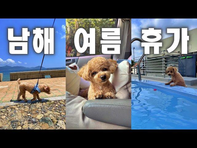[Travel vlog] How to teach a dog to swim? ㅠㅠ | Car Camping