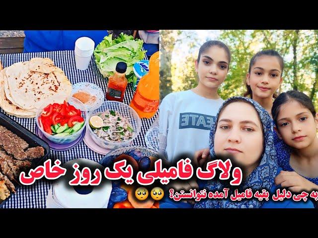 ولاگ فامیلی یک روز خاص/ولی اتفاق بدی که افتاد #foryou #picnic