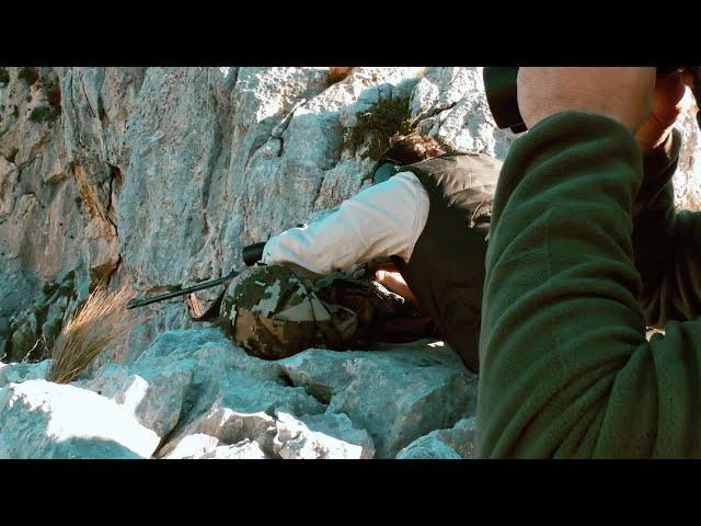 Barbary sheep hunting in Spain. Aoudad sheep hunting in Spain.