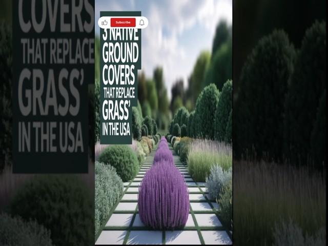 “3 Native Ground Covers That Replace Grass” in the USA .  #garden #greenchoices #greenhouseeffect