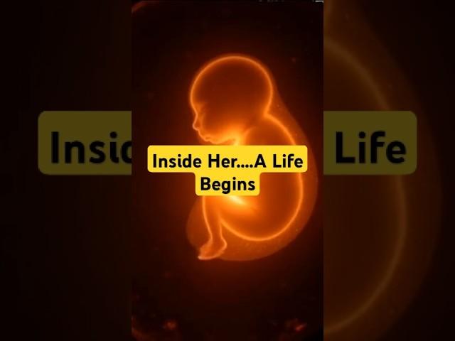 From a Dot to a Miracle – Baby’s First 10 Weeks in the Womb