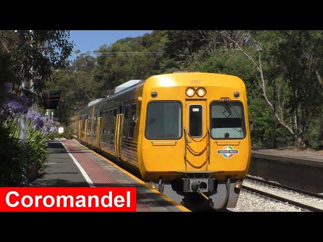 Trains at Coromandel - Adelaide Metro