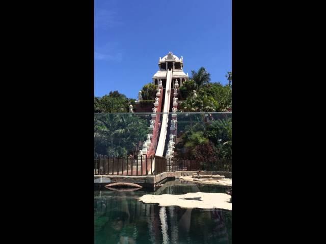 Water Slide Tenerife Siam Park