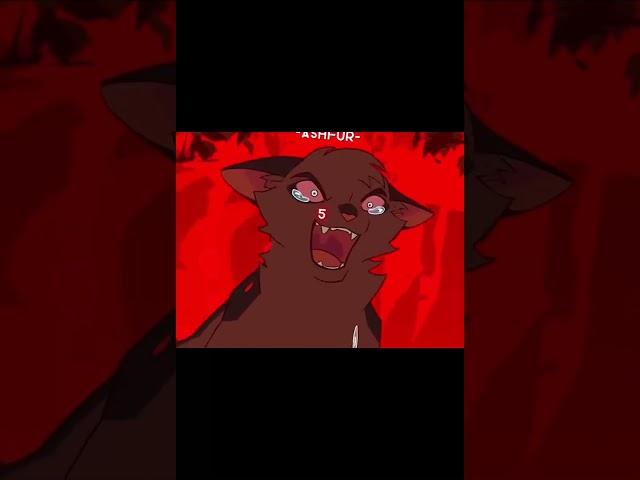 Warrior cats and there k!ll count // Credit in desc \\