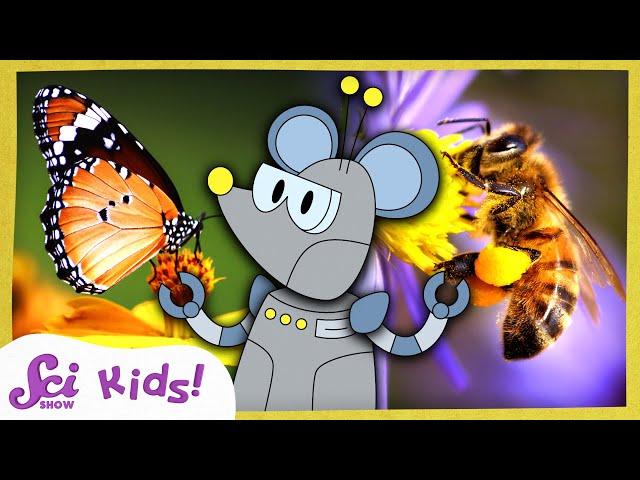 How Do Pollinators Help Plants Grow? | SciShow Kids Compilation