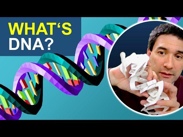 DNA simply explained
