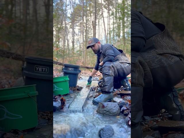 Flour Gold Recovery with my Dream mat Sluice Box! Prospecting for Gold!