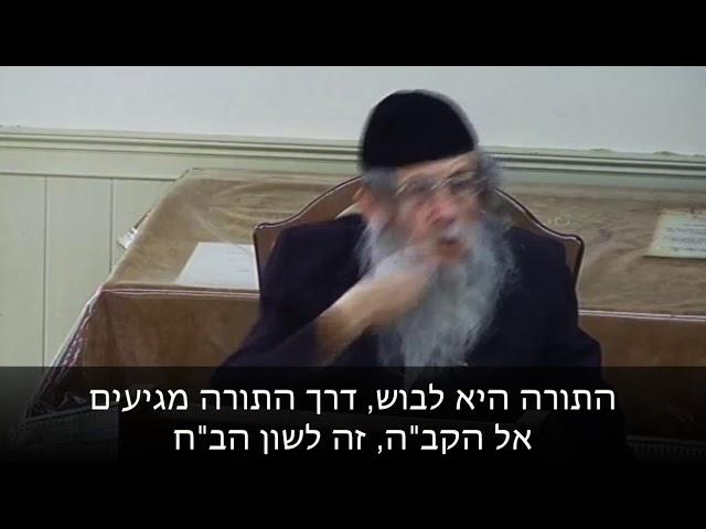 הרה"ג הרב ווכטר שליט"א - הזוהר על החובה ללמוד פנימיות התורה