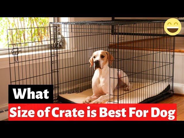 What Size and Type of Dog Crate is Best For Your Dog?