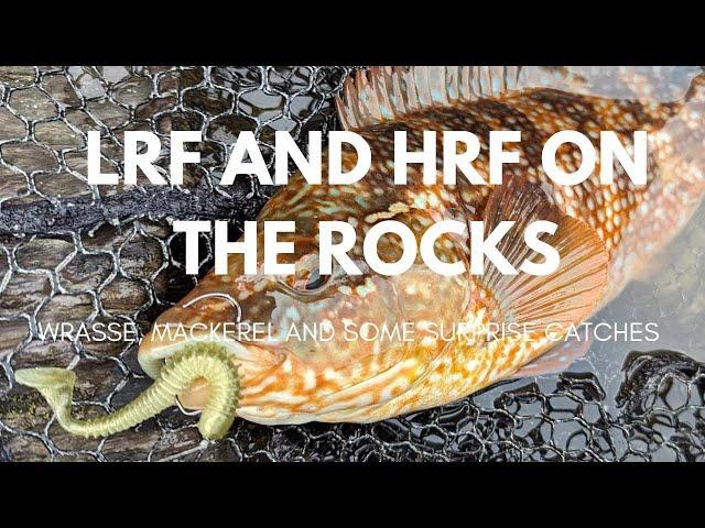 LRF And HRF on the Rocks - Wrasse, Mackerel and some surprise catches