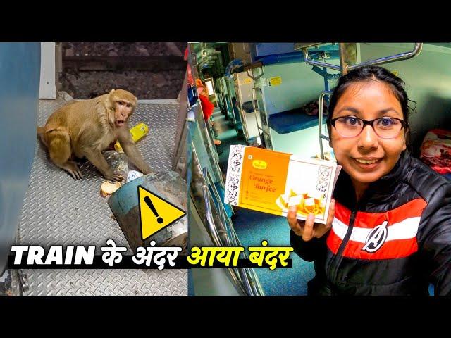 *Monkey In Our Coach️* Onboard 20805 Andhra Pradesh Express Vlog | Vizag to New Delhi Train Journey