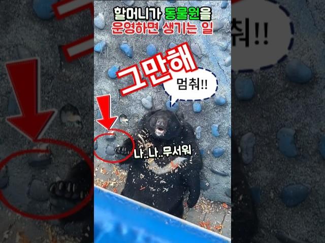 할머니가 배식 담당이면 생기는 일