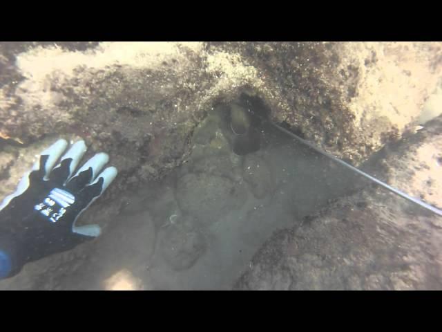 spearfishing israel צלילה חופשית DANI KRASIN GOPRO 3